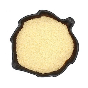 Supplier Fish Gelatin Halal Gelatin Powder food additives gelatin for healthcare supplement